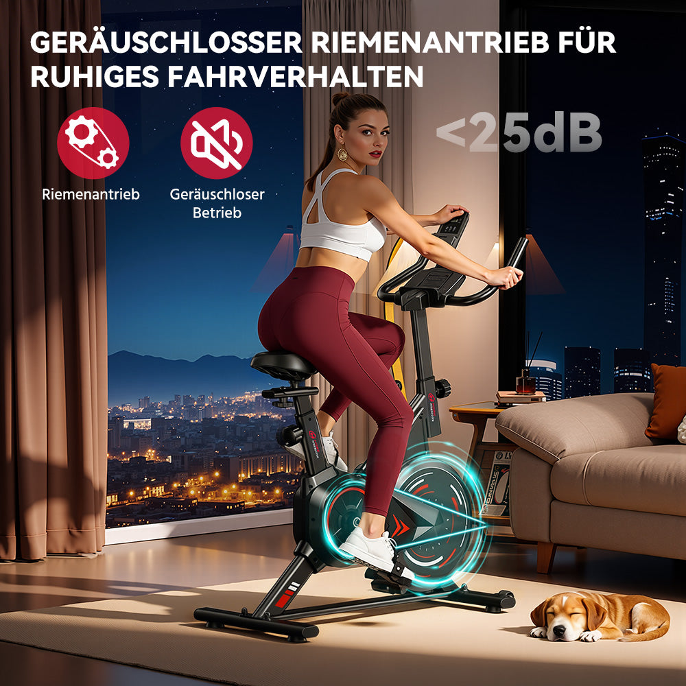 Stationärer Heimtrainer C1, Schwungrad 6KG