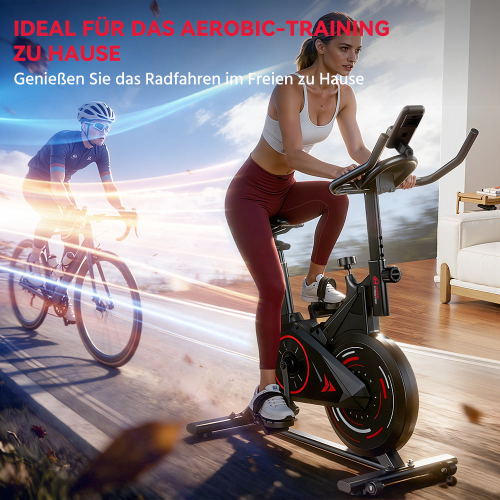 Stationärer Heimtrainer C1, Schwungrad 6KG