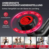 Stationärer Heimtrainer C1, Schwungrad 6KG