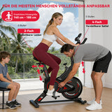 Stationärer Heimtrainer C1, Schwungrad 6KG
