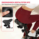 Stationärer Heimtrainer C1, Schwungrad 6KG