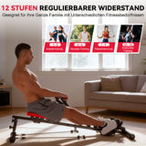 Hydraulisches Rudergerät, 12 Widerstandsstufen